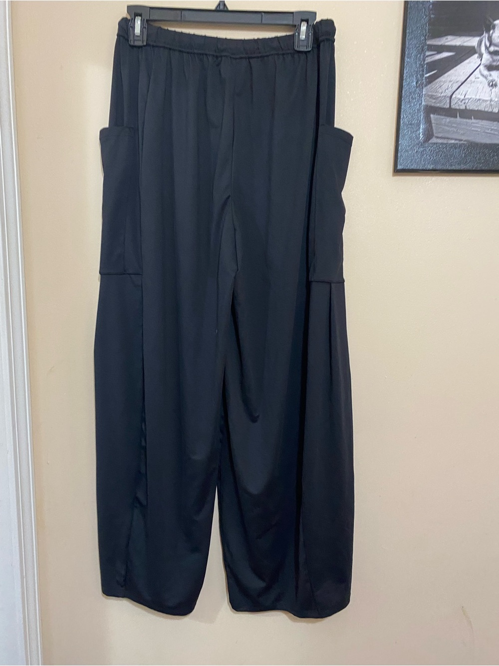 HALARA Black Wide-Leg Utility Pocket Pants size S will fit M new with out tags